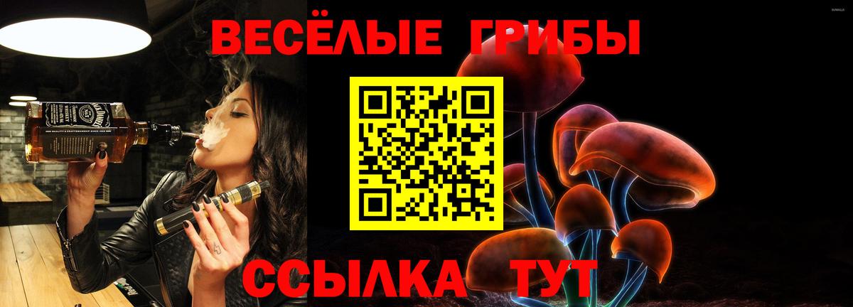 Галлюциногенные грибы Psilocybine cubensis  Галлюциногенные грибы Cubensis  Грозный  Вход с VPN 